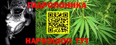 прущие крисы Балаково