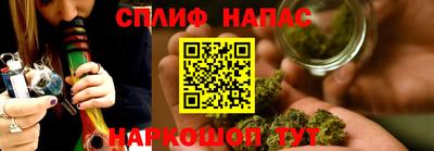 СК Балахна
