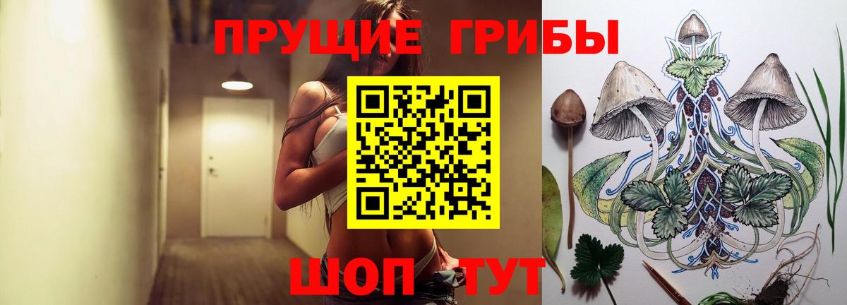 Иваново  Галлюциногенные грибы мицелий  Вход с VPN 