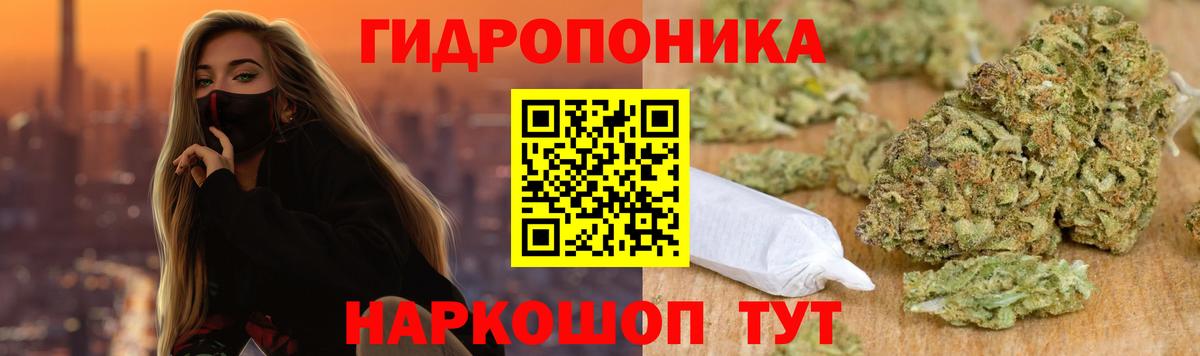 Каннабис сатива Иваново
